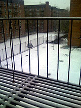 Neu al Bronx